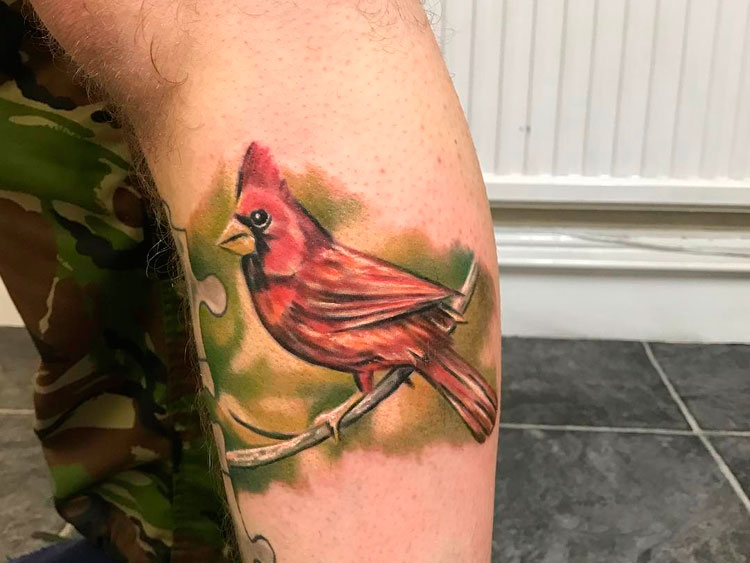 Птица кардинал, тату на голени
