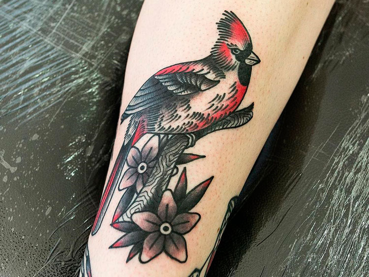 Птица кардинал в стиле традишнл