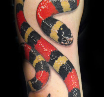 Красно-черно-желтая змея