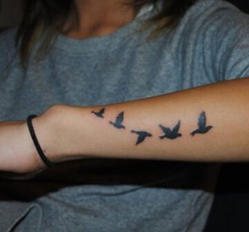 Стая летящих птиц на руке