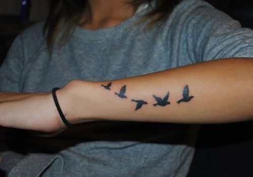 Стая летящих птиц на руке