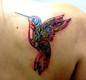 Цветная колибри на спине
