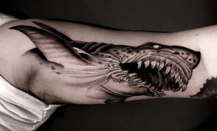 Жуткая акула на руке
