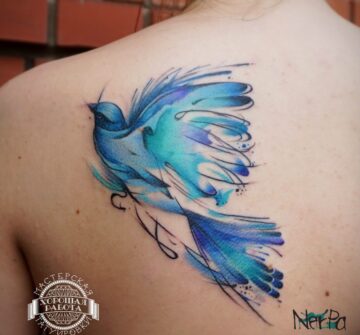 Синяя птица на спине в стиле акварель