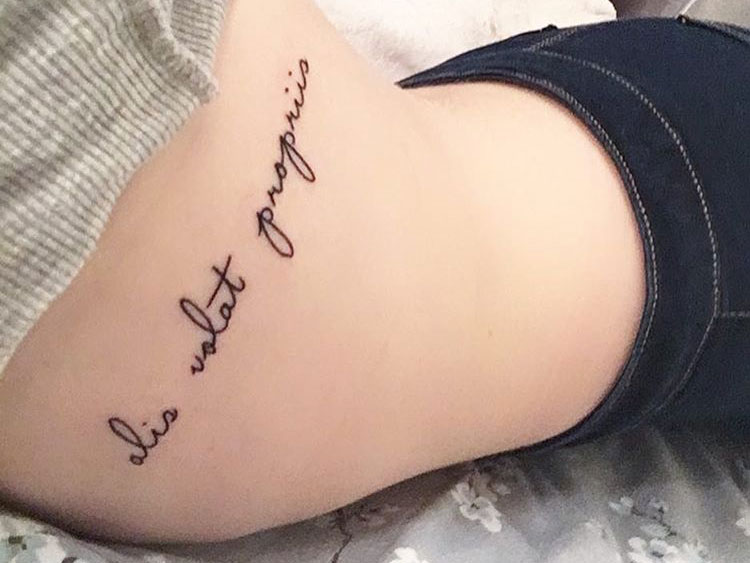 Надпись Alis volat propriis с переводом