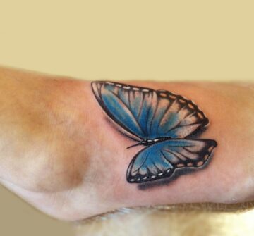 Синяя бабочка на ступне