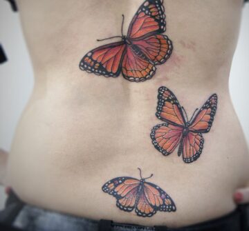 Три бабочки, тату на спине