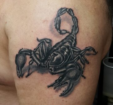 Тату скорпион (животное) на плече у парня