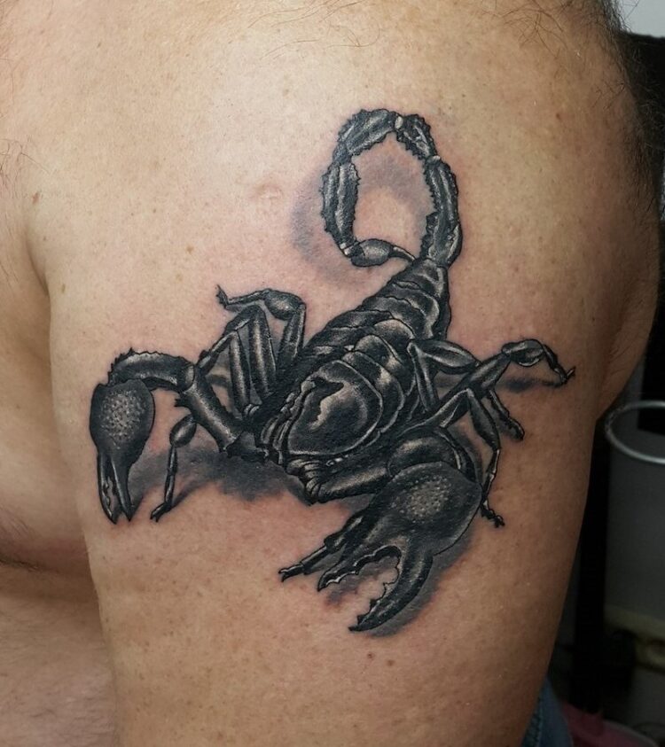 Тату скорпионы  на плече у парня