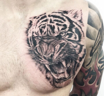 Оскал тигра, мужская тату на груди
