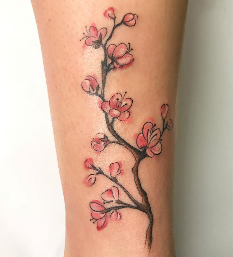 Цветение вишни, женская тату на ноге