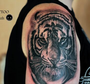 Тигр, мужская тату на плече