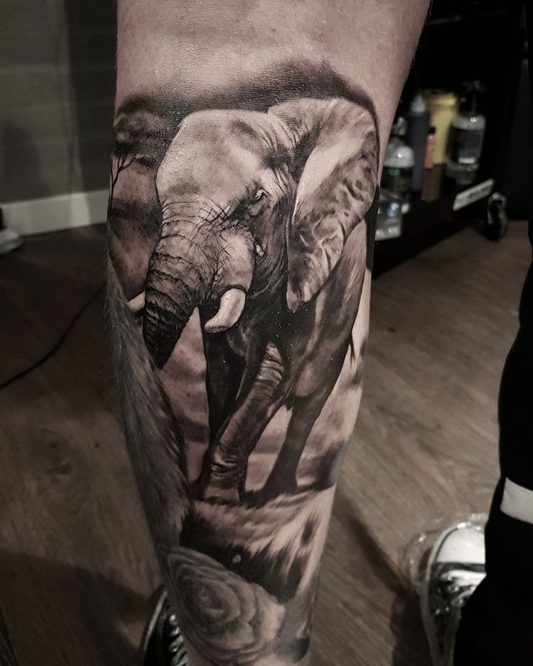Черно-белый слон, мужская тату на голени