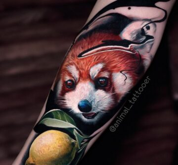 Красная панда, тату на предплечье в стиле реализм