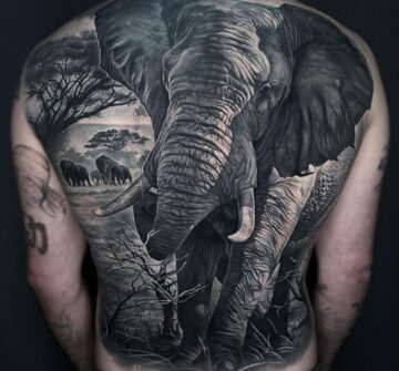 Тату блэк энд грей (black&grey), реализм, слоны на спине у парня