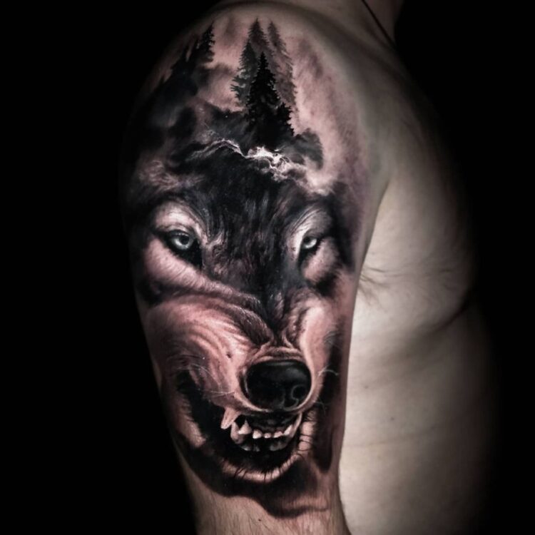 Тату black&grey, волки, деревья, реализм  на плече у парня