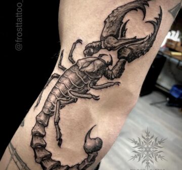 Тату графика, скорпион (животное) на руке у парня