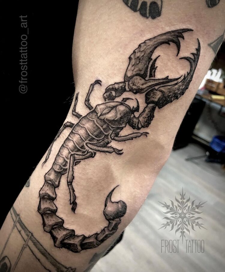 Тату графика, скорпион (животное) на руке у парня