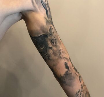Тату блэк энд грей (black&grey), кошка, реализм на руке у парня