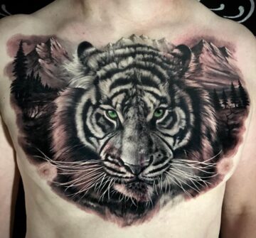 Портрет тигра на фоне гор и леса, мужская тату на груди