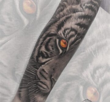 Тату блэк энд грей (black&grey), реализм, тигры на предплечье у парня