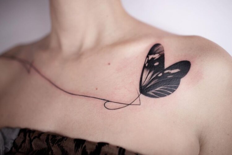 Линия и крылья бабочки