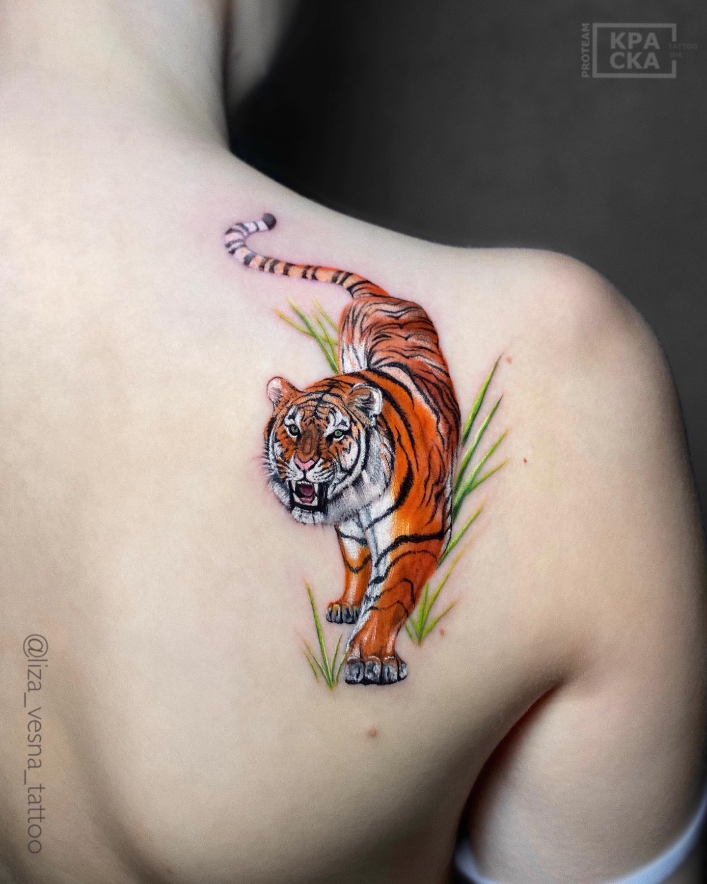 Татуировки тигров